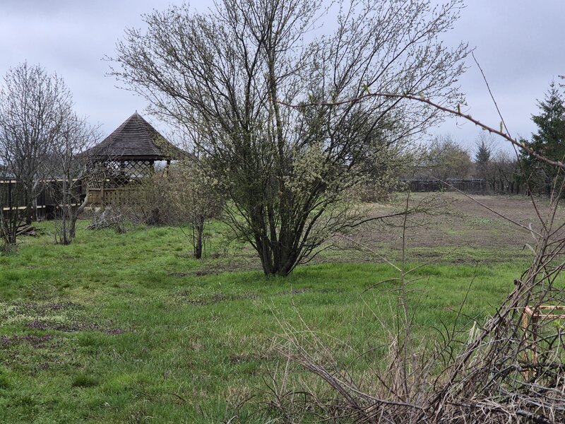 Tartasesti, Gulia, str. Codrului,