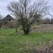 Tartasesti, Gulia, str. Codrului,